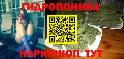 тгк Аргун